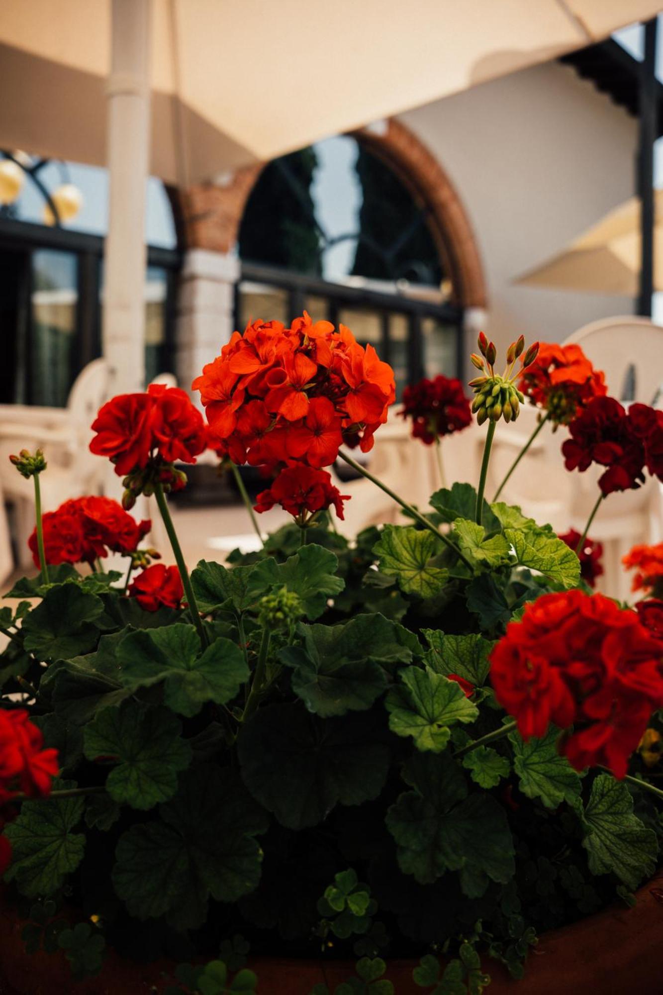 Albergo La Meridiana Castelnuovo del Garda Exterior foto